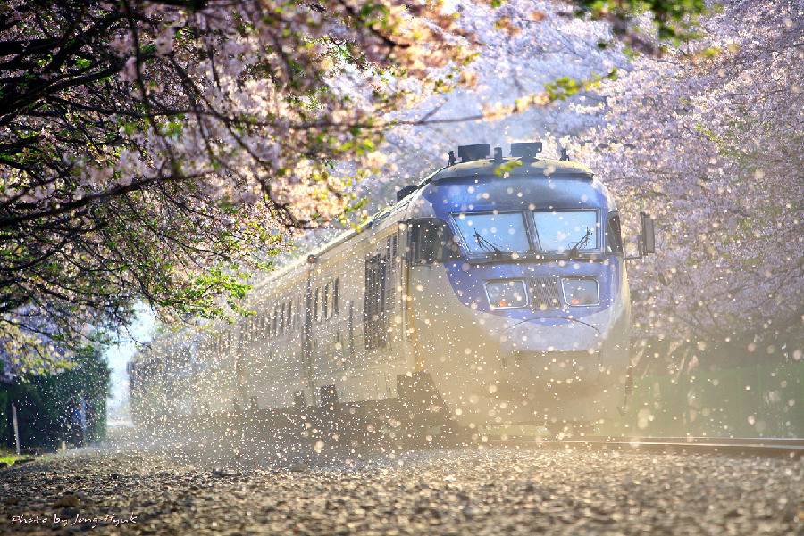참 아름다운 많은 꿈이 있는 이땅에 태어나서 행복한 내가 아니니 | 인스티즈