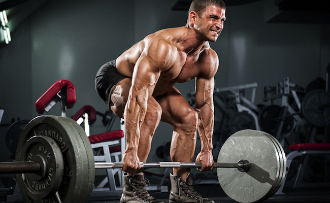 헬스 1년 미만 초보자들을 위한 운동 가이드 | 인스티즈