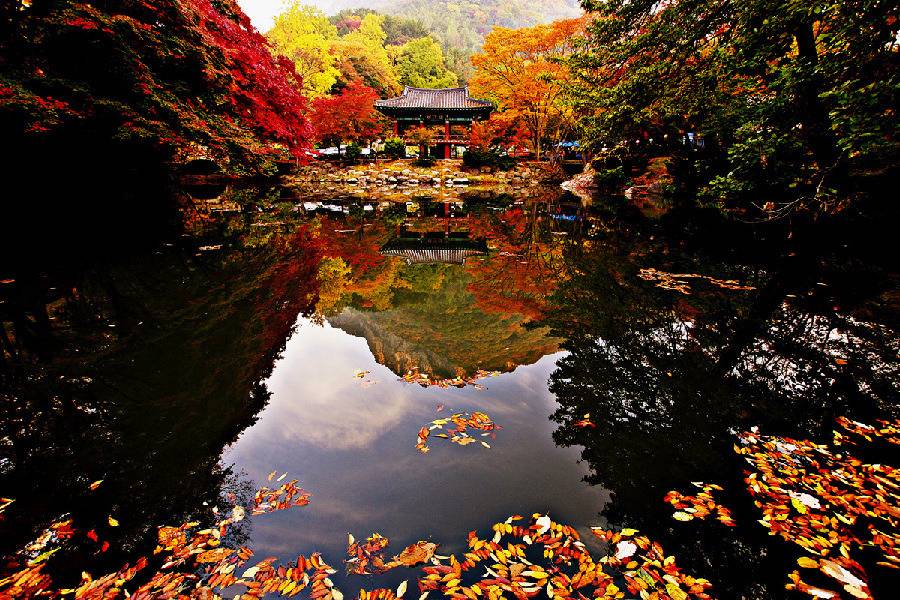 참 아름다운 많은 꿈이 있는 이땅에 태어나서 행복한 내가 아니니 | 인스티즈