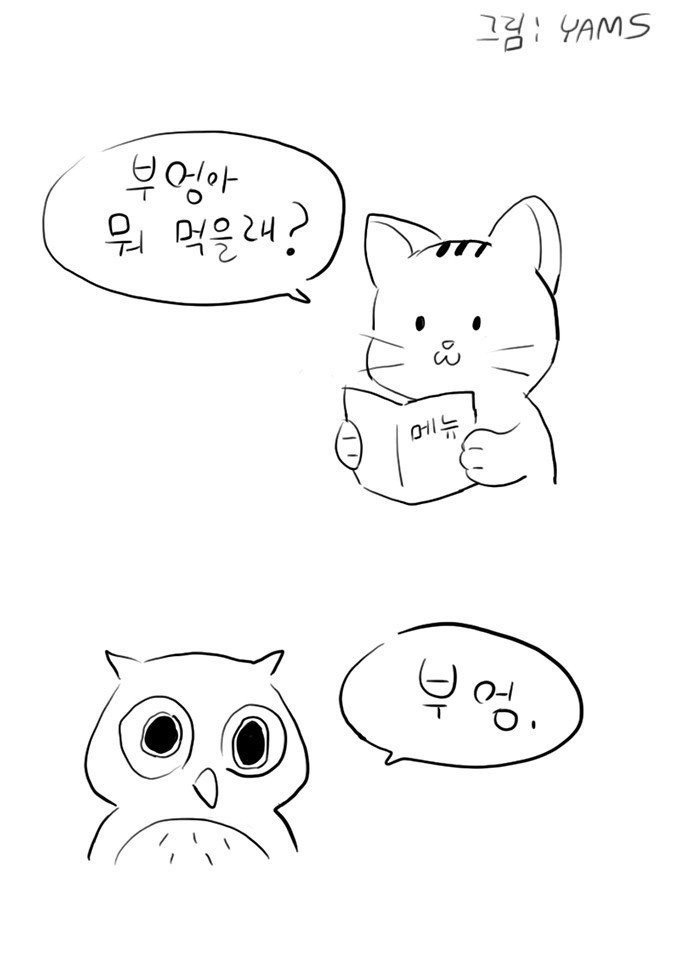 부엉이랑 중국집에 갔다.jpg | 인스티즈