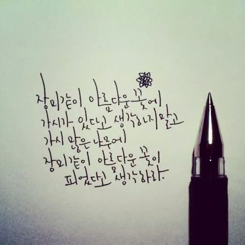 내 삶에 동기부여가 되었던 글귀들 | 인스티즈