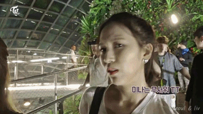 높은곳 올라간 트와이스 멤버들 반응 gif | 인스티즈