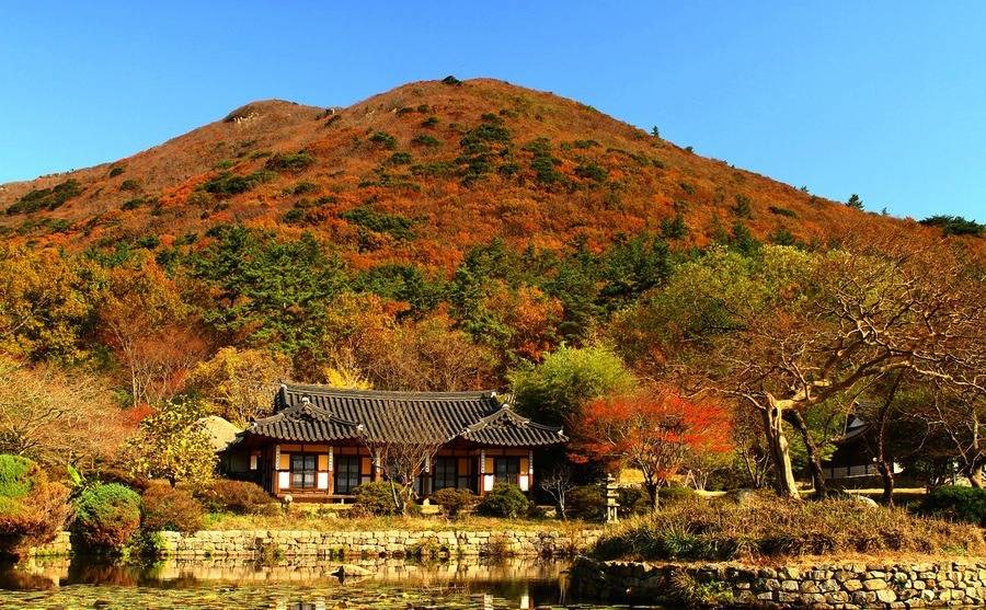 참 아름다운 많은 꿈이 있는 이땅에 태어나서 행복한 내가 아니니 | 인스티즈