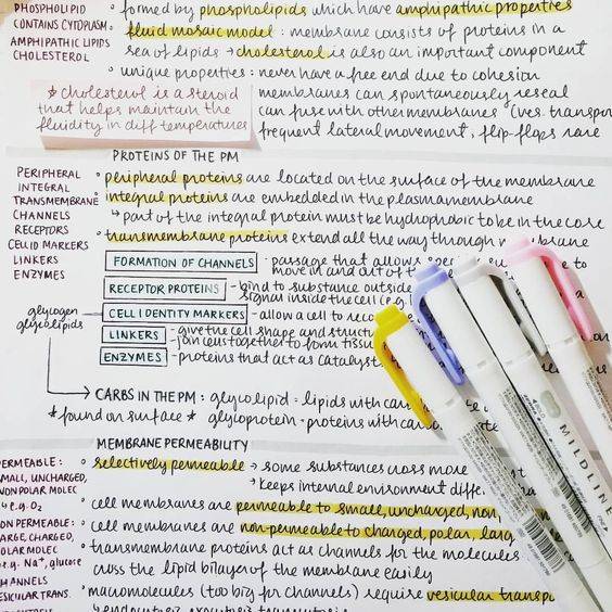 왠지 모르게 필기하고 싶어지는 사진들 | 인스티즈