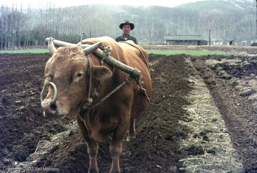 1969년 대한민국의 일상 사진.jpg | 인스티즈