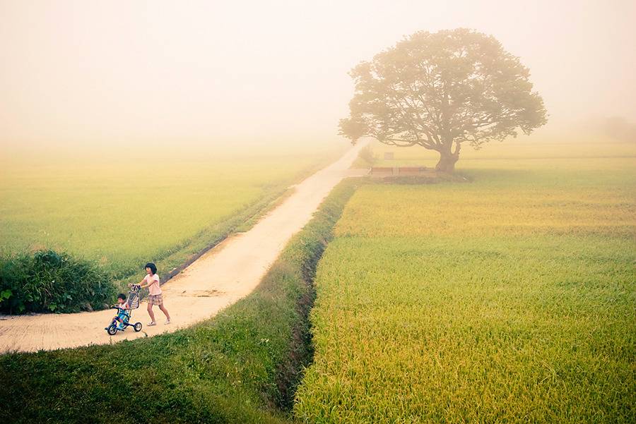 참 아름다운 많은 꿈이 있는 이땅에 태어나서 행복한 내가 아니니 | 인스티즈