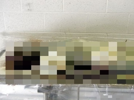  한때 인터넷을 충격에 휩싸이게 만들었던 단어들 | 인스티즈