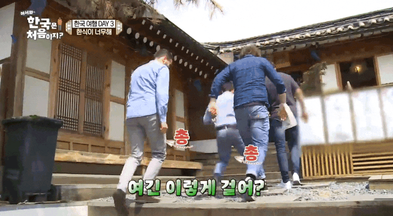 번역해서 외국에 무료 배포해야 한다고 생각하는 한국 티비 프로그램 . jpg | 인스티즈