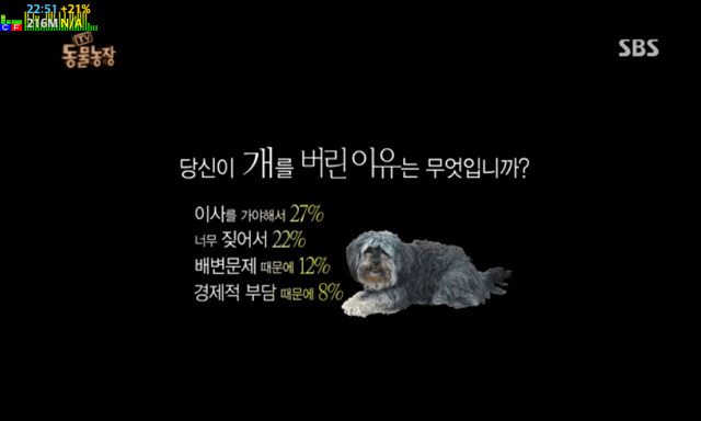 반려견 죽을때까지 데리고 사는 비율.jpg | 인스티즈