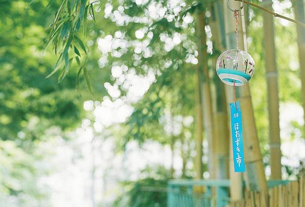 일본여행 가고 싶어지는 일본 사진 | 인스티즈