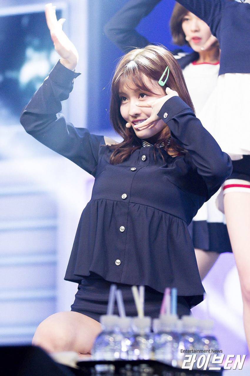 트와이스 - 시그널 쇼케이스~ | 인스티즈