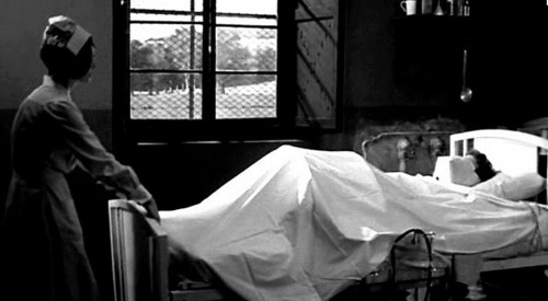  한때 인터넷을 충격에 휩싸이게 만들었던 단어들 | 인스티즈