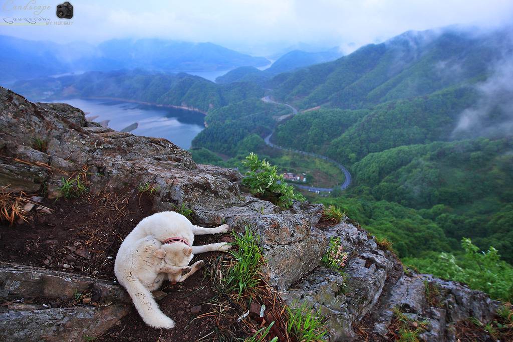 참 아름다운 많은 꿈이 있는 이땅에 태어나서 행복한 내가 아니니 | 인스티즈