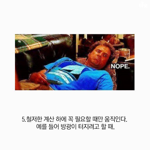 게으른 사람이 점점 똑똑해질 수 밖에 없는 이유 | 인스티즈