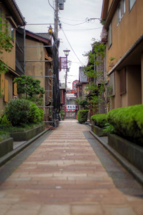 일본여행 가고 싶어지는 일본 사진 | 인스티즈