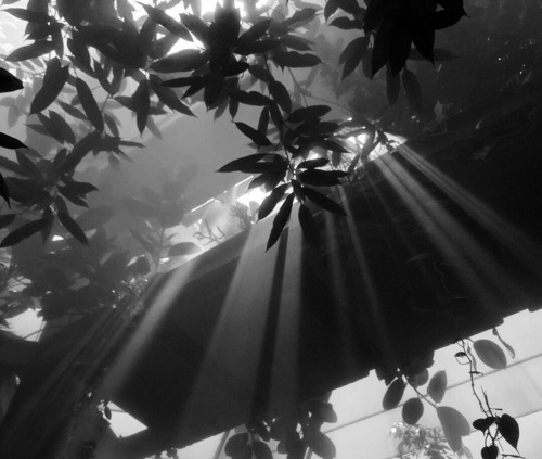 감히 그 이름을 말할 수 없는 사랑을 위해 | 인스티즈