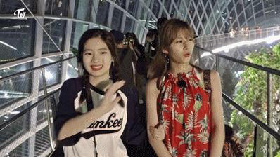 높은곳 올라간 트와이스 멤버들 반응 gif | 인스티즈