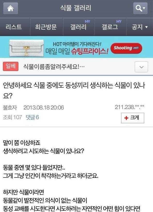 동성애 질문에 대한 식물갤러리의 답변 | 인스티즈
