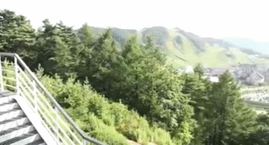 문재인대통령 첫휴가 평창에서 일어난 소소한일들.GIF | 인스티즈