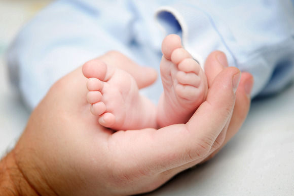 애완동물 키우면 안되는 사람들 | 인스티즈