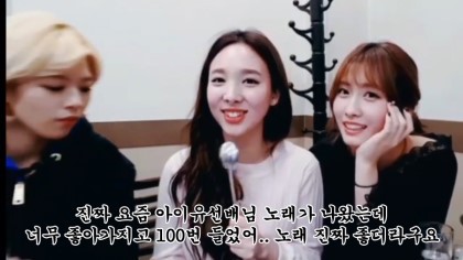 JYP 소속 아이유 여덕 | 인스티즈