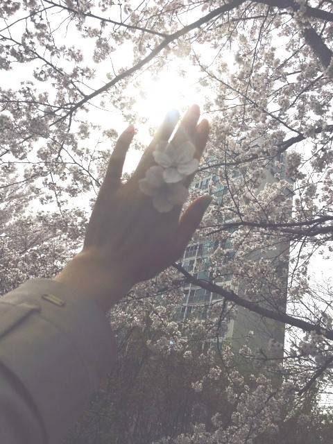 짝사랑에서 혼자하는 사랑으로 여운이 남는 시 | 인스티즈