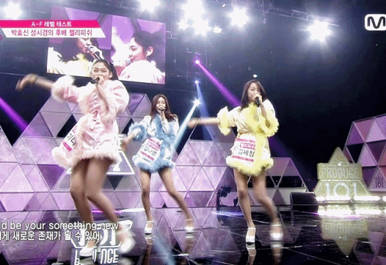 [고르기] 다시 무대를 한다면 보고싶은 프듀시즌1 무대 고르기 | 인스티즈