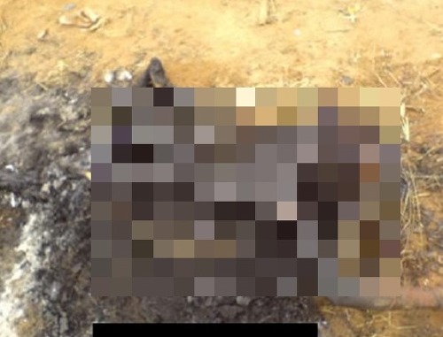  한때 인터넷을 충격에 휩싸이게 만들었던 단어들 | 인스티즈