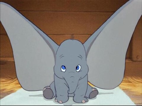 이거 문어맞아? 코끼리새끼아니야? | 인스티즈