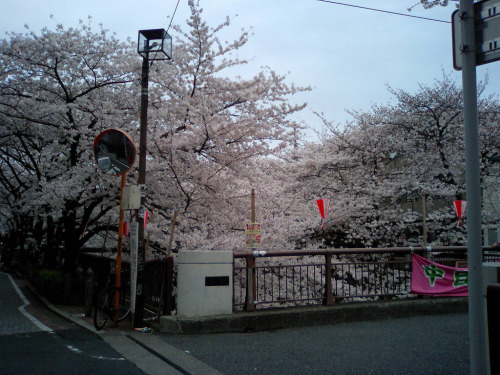 일본여행 가고 싶어지는 일본 사진 | 인스티즈