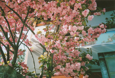 [싸이월드] sns의 완성형이라고 생각하는 싸이월드.jpg | 인스티즈