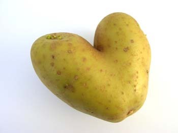 여러분의 최애 감자튀김 유형은? | 인스티즈