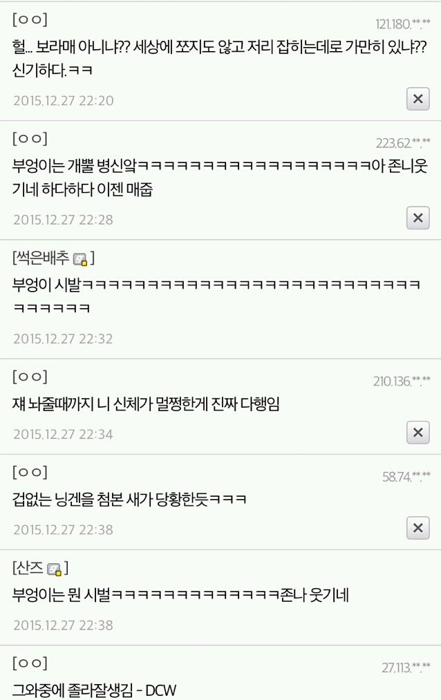 길가다 부엉이 주움 | 인스티즈