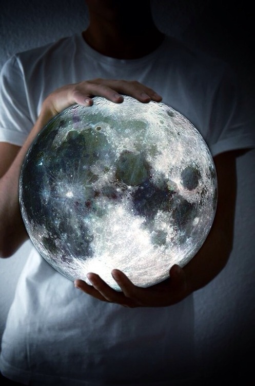 달모양 조명 | 인스티즈