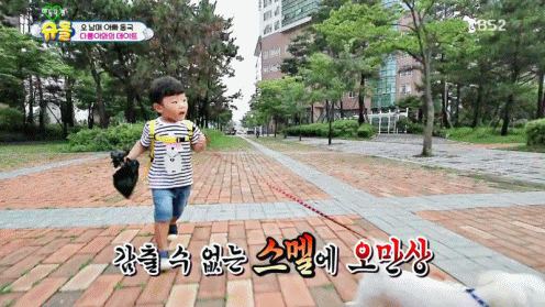 [슈돌] 강아지와 산책하다가 똥 치워주는 대박이 | 인스티즈