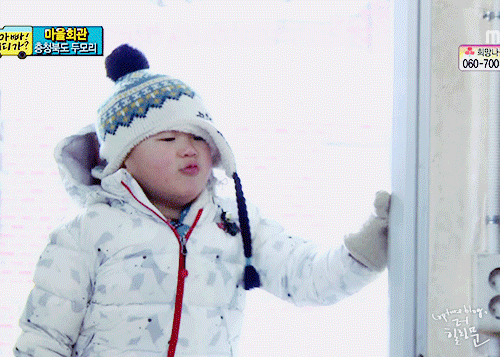 단언컨대 무도 이후로 예능 멤버 조합이 가장 완벽했던 예능 | 인스티즈