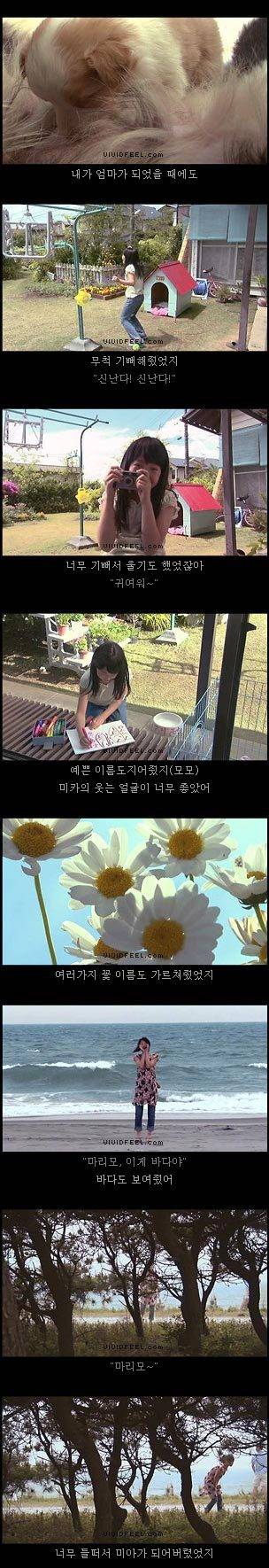 10번보면 10번 다 폭풍오열하는 이야기 [마리모이야기] | 인스티즈