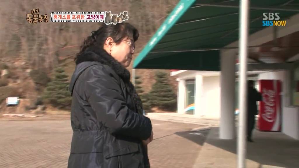 확실한 김첨지의 나라 대한민국.jpg(feat.키우던 반려묘 버리지마세요ㅜㅜㅜ) | 인스티즈