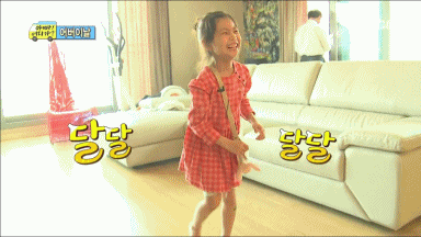 단언컨대 무도 이후로 예능 멤버 조합이 가장 완벽했던 예능 | 인스티즈