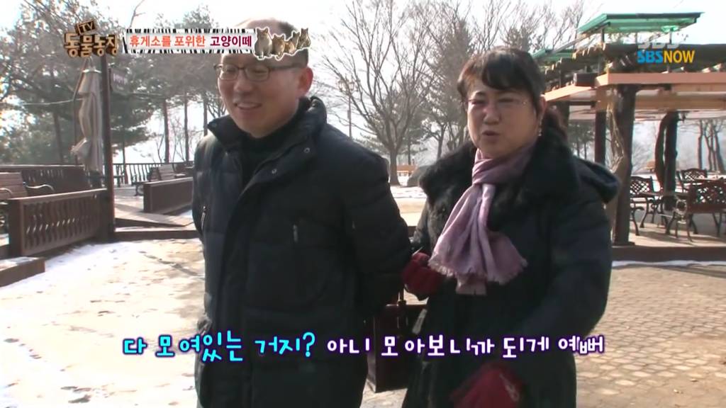 확실한 김첨지의 나라 대한민국.jpg(feat.키우던 반려묘 버리지마세요ㅜㅜㅜ) | 인스티즈