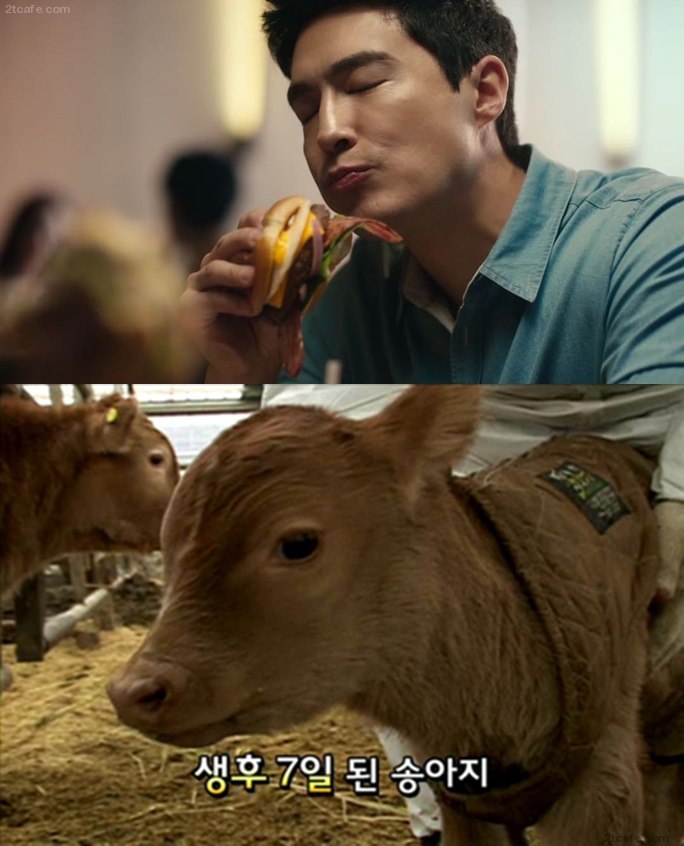 안먹을 개 친구야 | 인스티즈