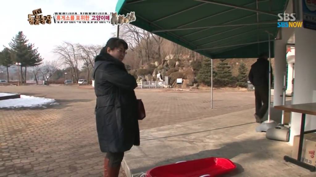 확실한 김첨지의 나라 대한민국.jpg(feat.키우던 반려묘 버리지마세요ㅜㅜㅜ) | 인스티즈