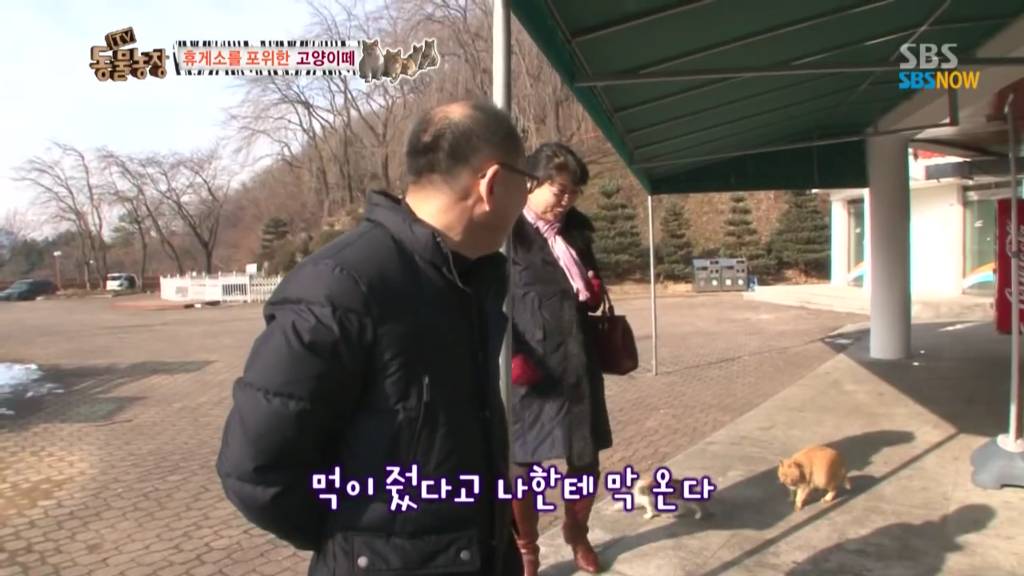 확실한 김첨지의 나라 대한민국.jpg(feat.키우던 반려묘 버리지마세요ㅜㅜㅜ) | 인스티즈