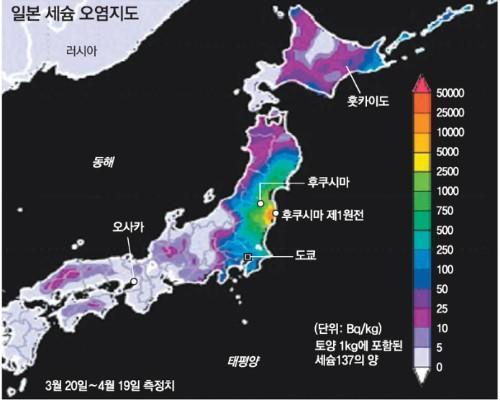 중국 vs 한국 vs 일본 어디에서 살고 싶은지 고르기 | 인스티즈