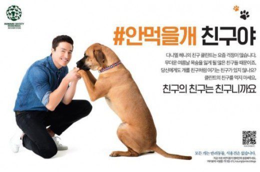 안먹을 개 친구야 | 인스티즈