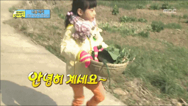 단언컨대 무도 이후로 예능 멤버 조합이 가장 완벽했던 예능 | 인스티즈