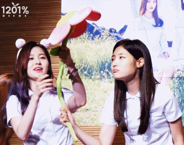 채연이는 똑똑하다vs안똑똑하다(feat. 다이아 97라인) | 인스티즈