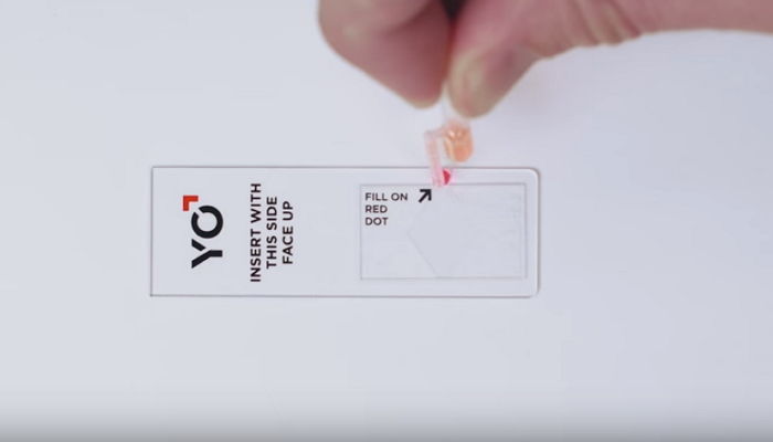 정자왕 테스트 앱.gif | 인스티즈