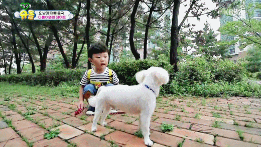 [슈돌] 강아지와 산책하다가 똥 치워주는 대박이 | 인스티즈