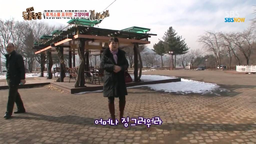 확실한 김첨지의 나라 대한민국.jpg(feat.키우던 반려묘 버리지마세요ㅜㅜㅜ) | 인스티즈